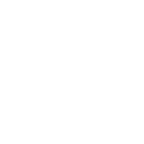 Kiwi & Co